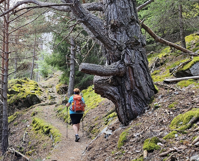 Wanderungen durch die Alpen mit Wanderführer Andreas Pittl führen oft über einsame Wege, wo kein Massentourismus zu finden ist!