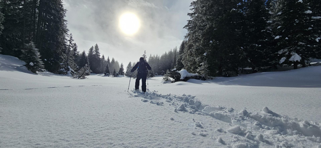 Schneeschuhwandern in Tirol mit Wanderführer Andreas Pittl: ruhige Wege im Schnee abseits der Masse!