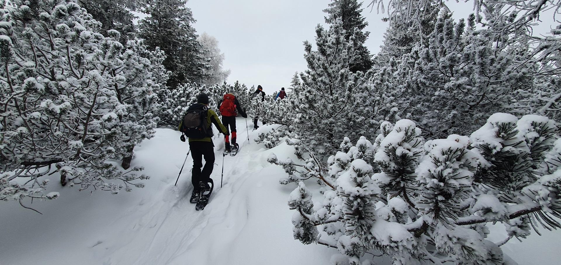 Schneeschuhwandern abseits des Massentourismus im Wipptal in Tirol