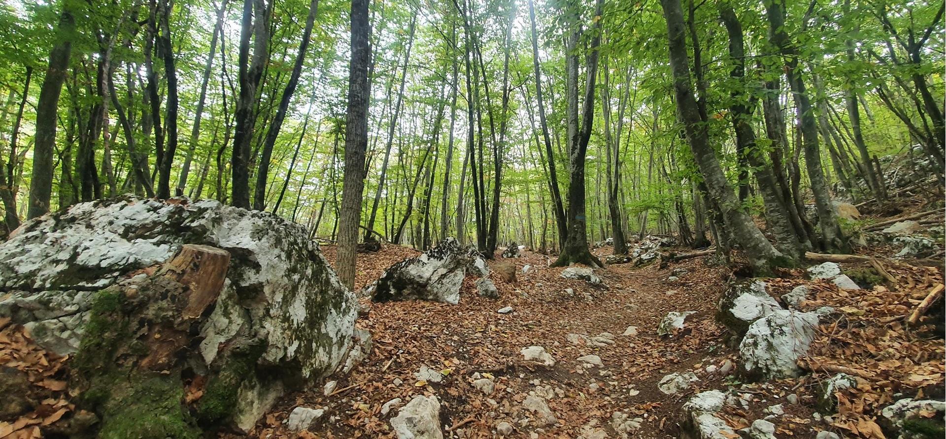 Die antike Via Imperiale auf der Weiterwanderung nach Molveno