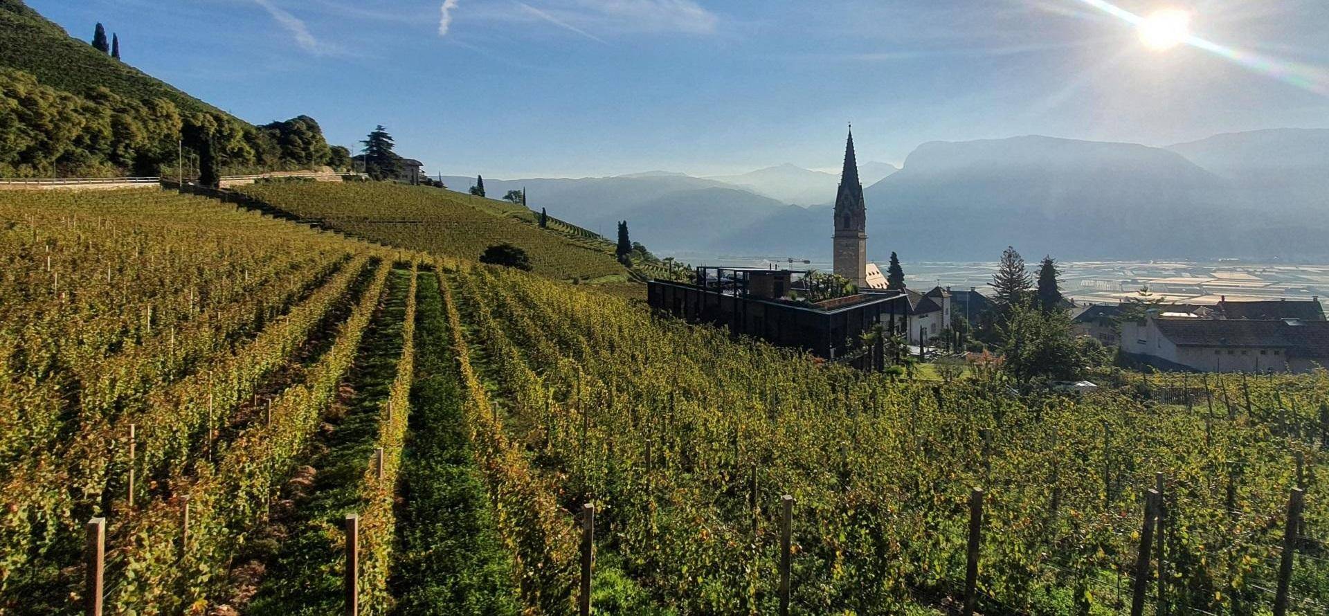 Wandererlbnis Südtirol mit Wanderführer